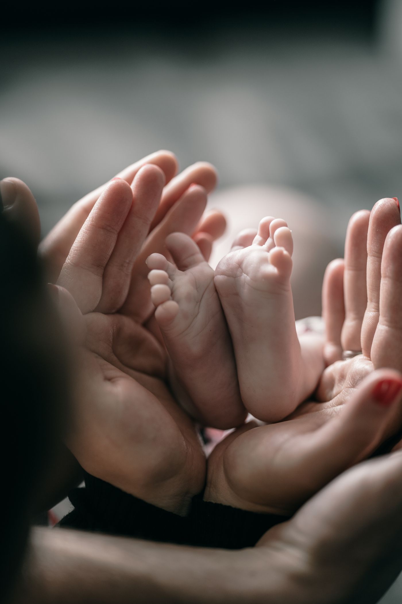 Tiny newborn feet held in family hands