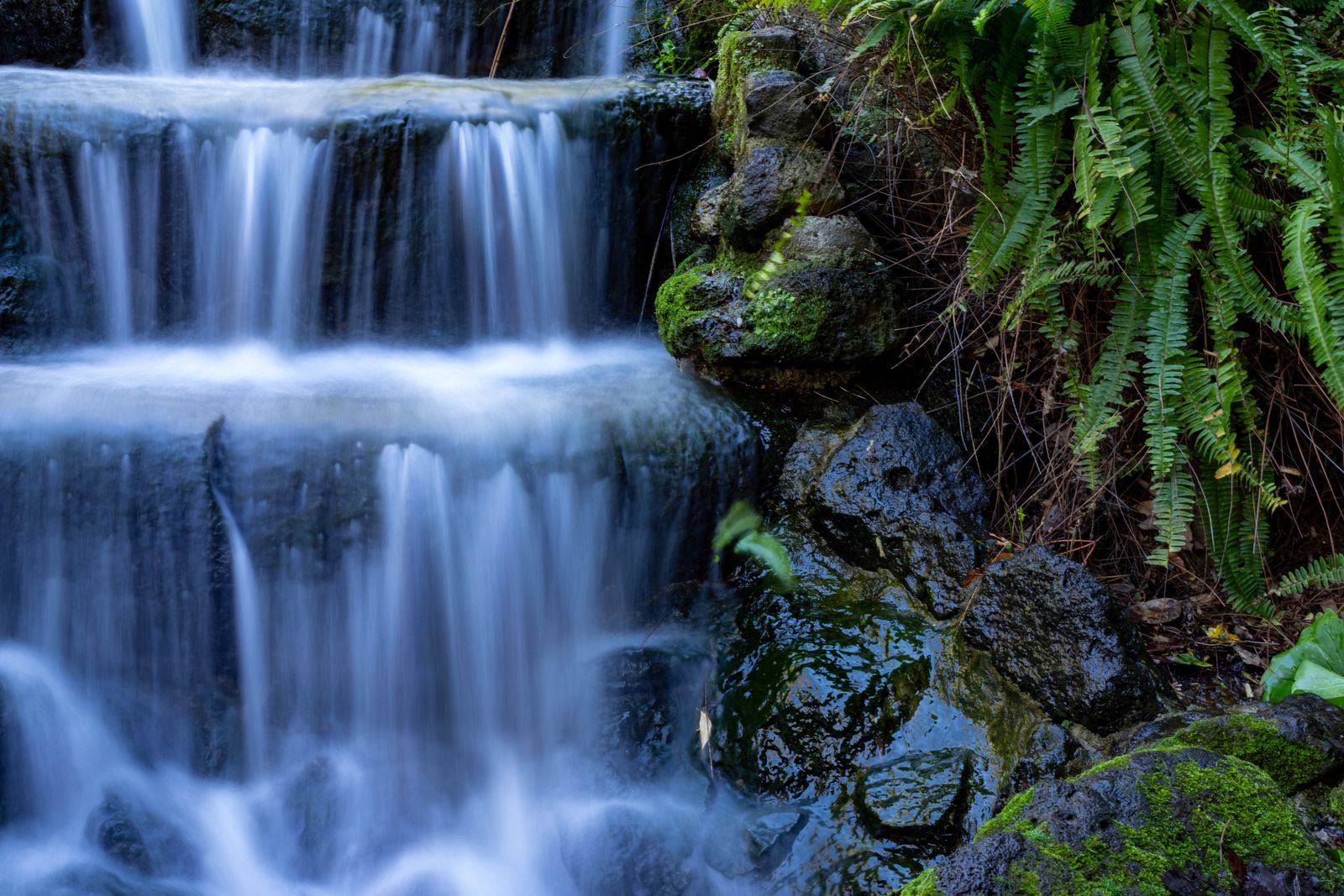 Long exposure of a mossy stepped waterfall with silky white water and green ferns