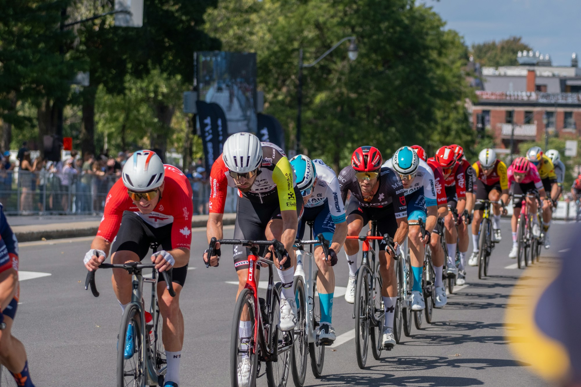A group of helmeted road cyclists racing toward the camera with spectators behind barriers.