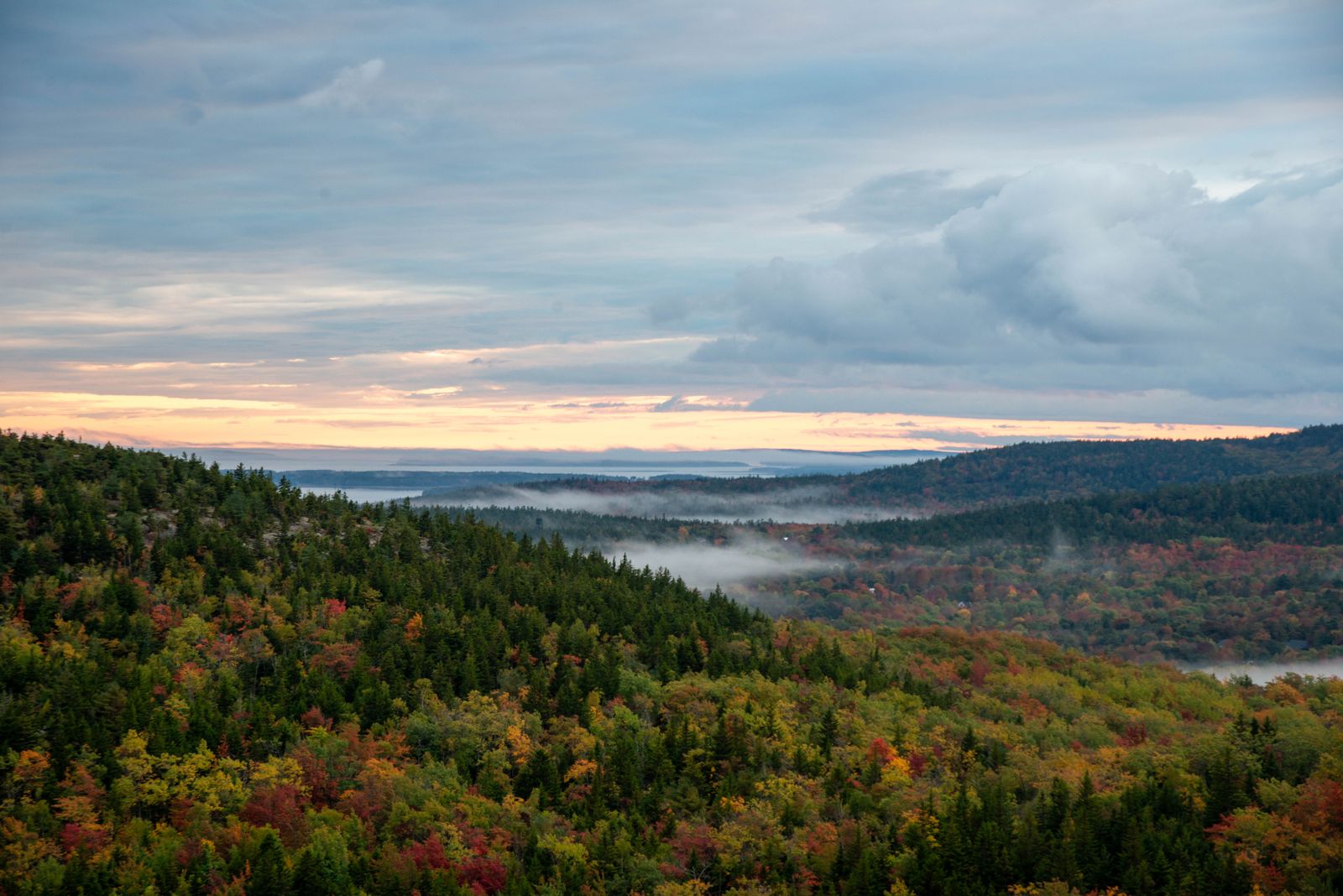 Dawn fog drifting over autumn hills in Acadia National Park