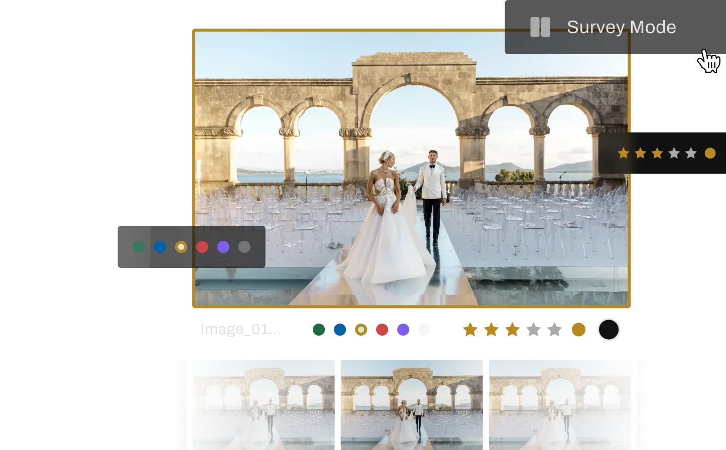 Aftershoot Survey Mode screen for comparing similar wedding photos
