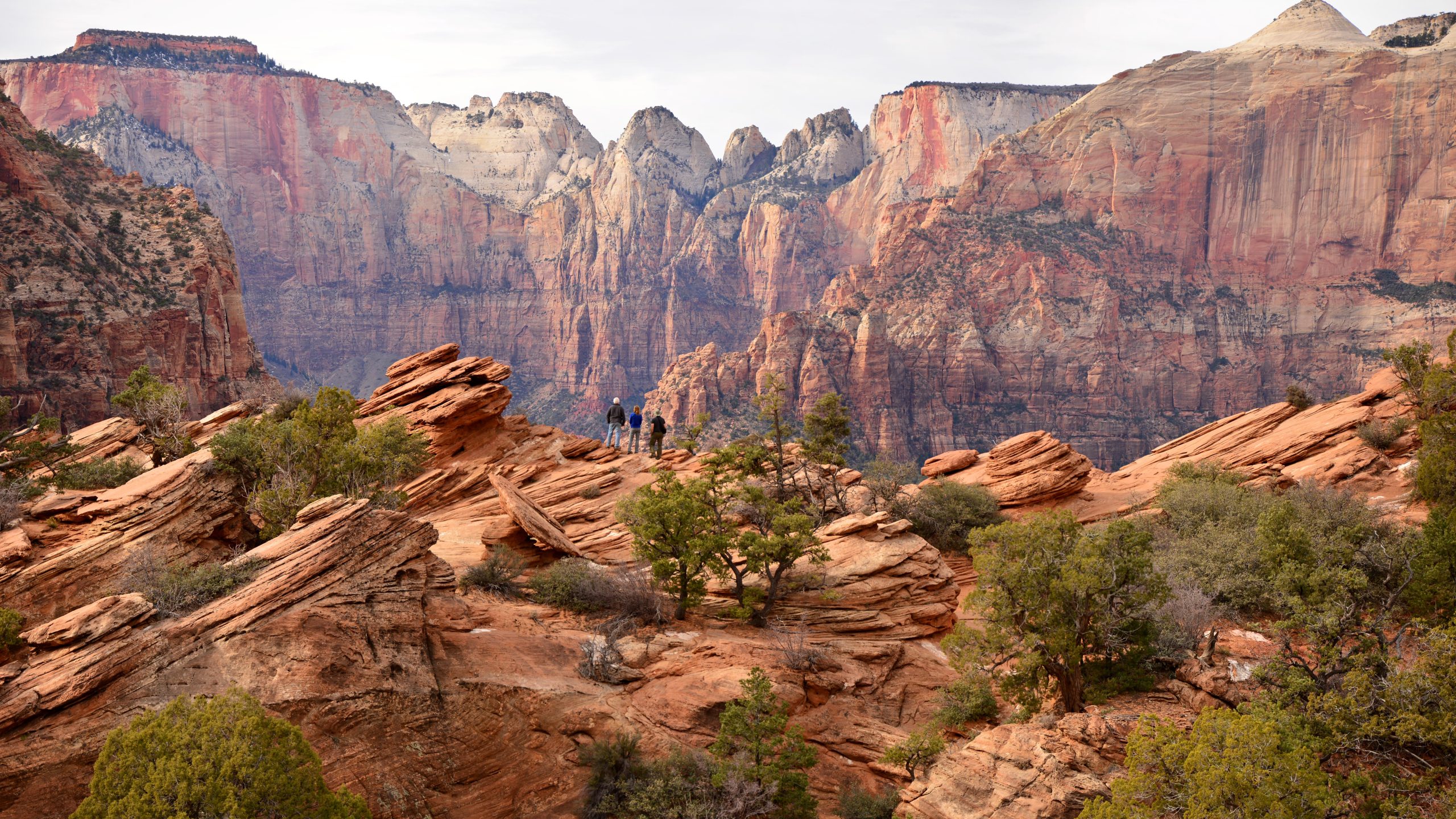 The Zion Canyon panorama from the fenced cliff edge of Canyon Overlook, NPS photo by Daren Reehl