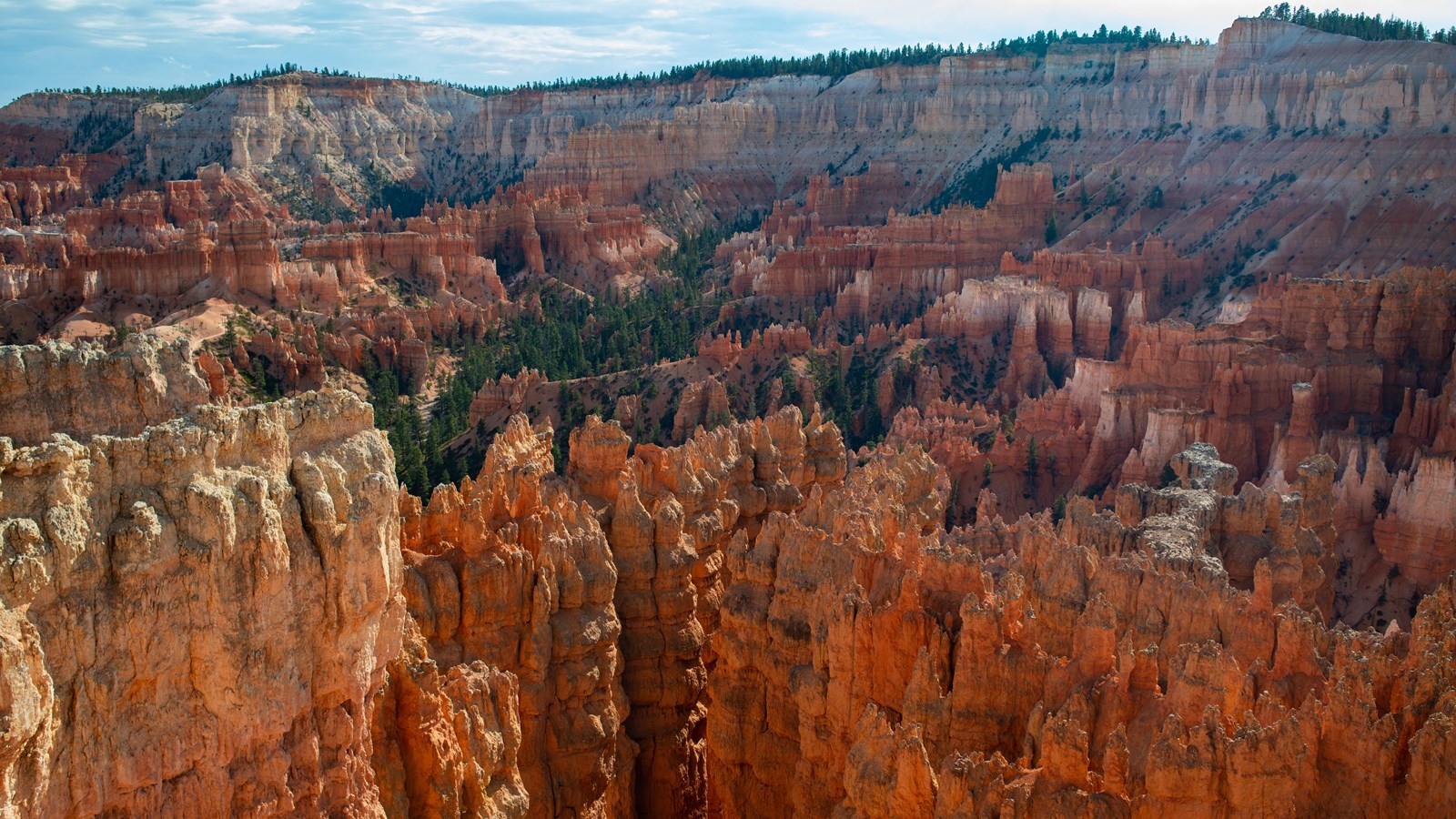 Red and white limestone fins and hoodoos seen from Sunset Point in Bryce Canyon