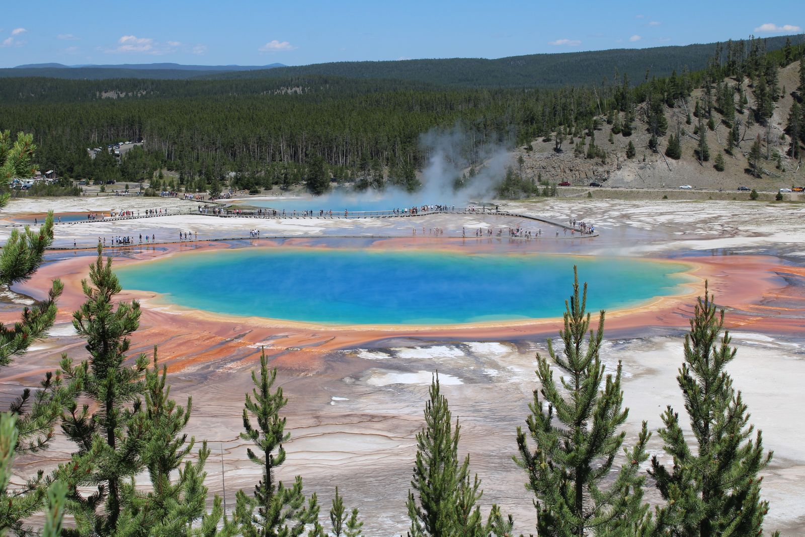 Grand Prismatic Spring from the overlook in Yellowstone National Park