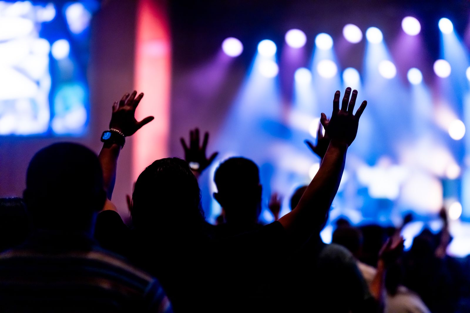 Silhouetted concert crowd with raised hands in front of bright blue and magenta stage lights.