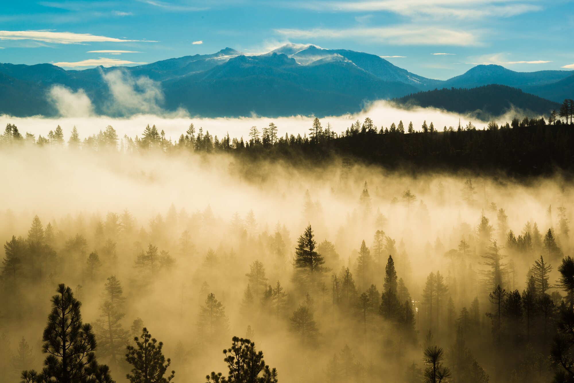 Landscape photo of mist drifting through pine trees below snowy mountains near Lake Tahoe