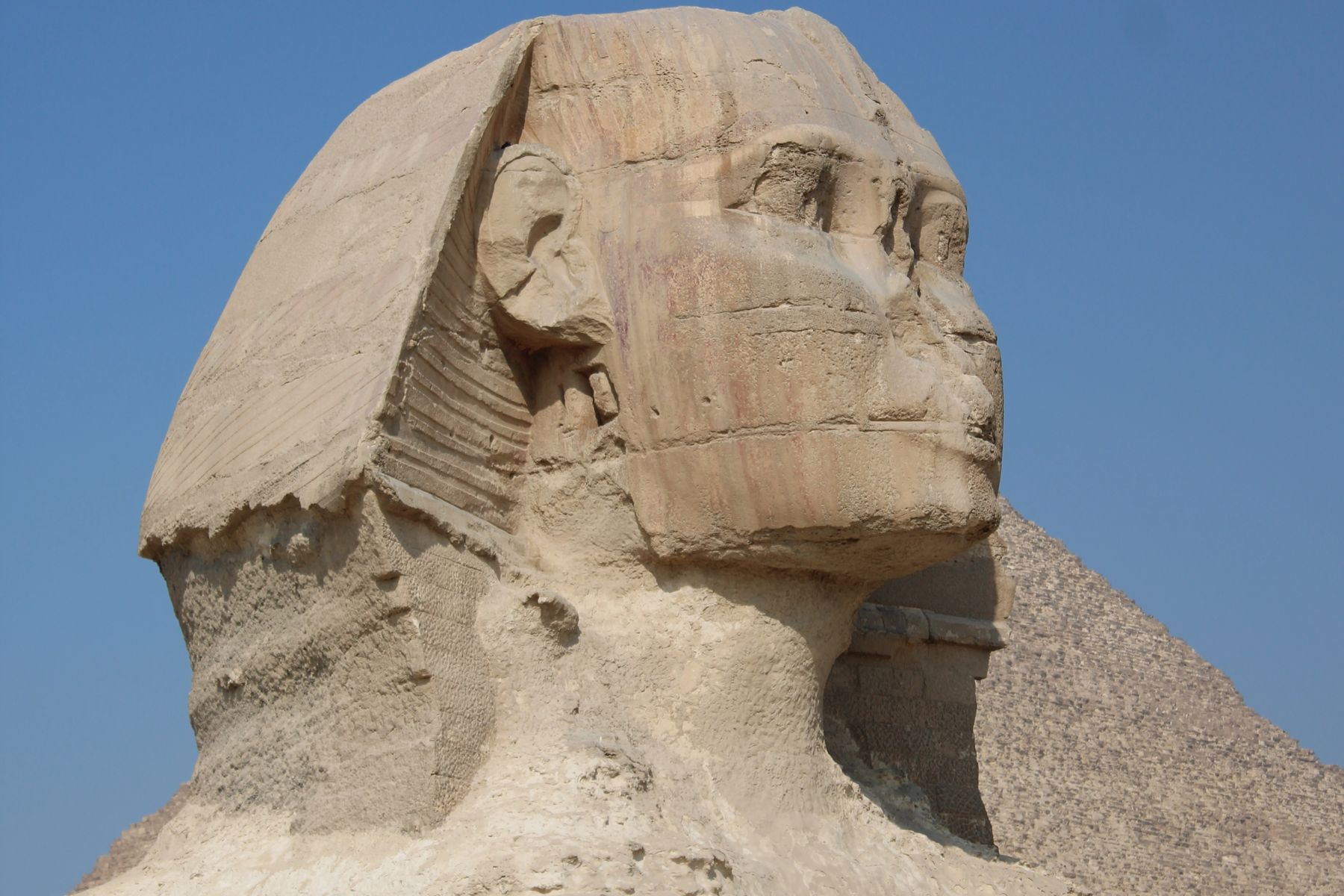 Close view of the face of the Great Sphinx of Giza against a blue sky