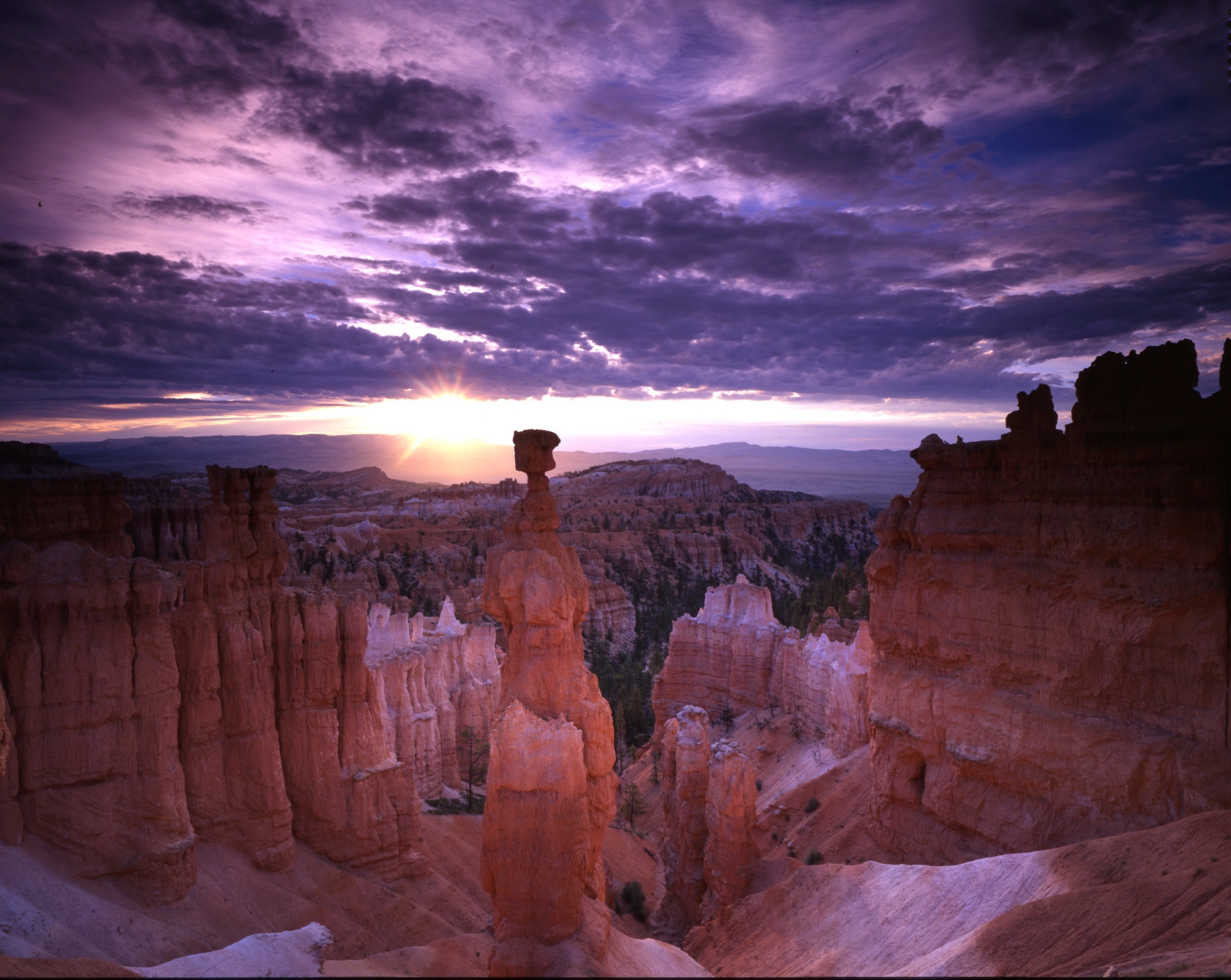 Thor's Hammer hoodoo catching sunrise light below Sunset Point