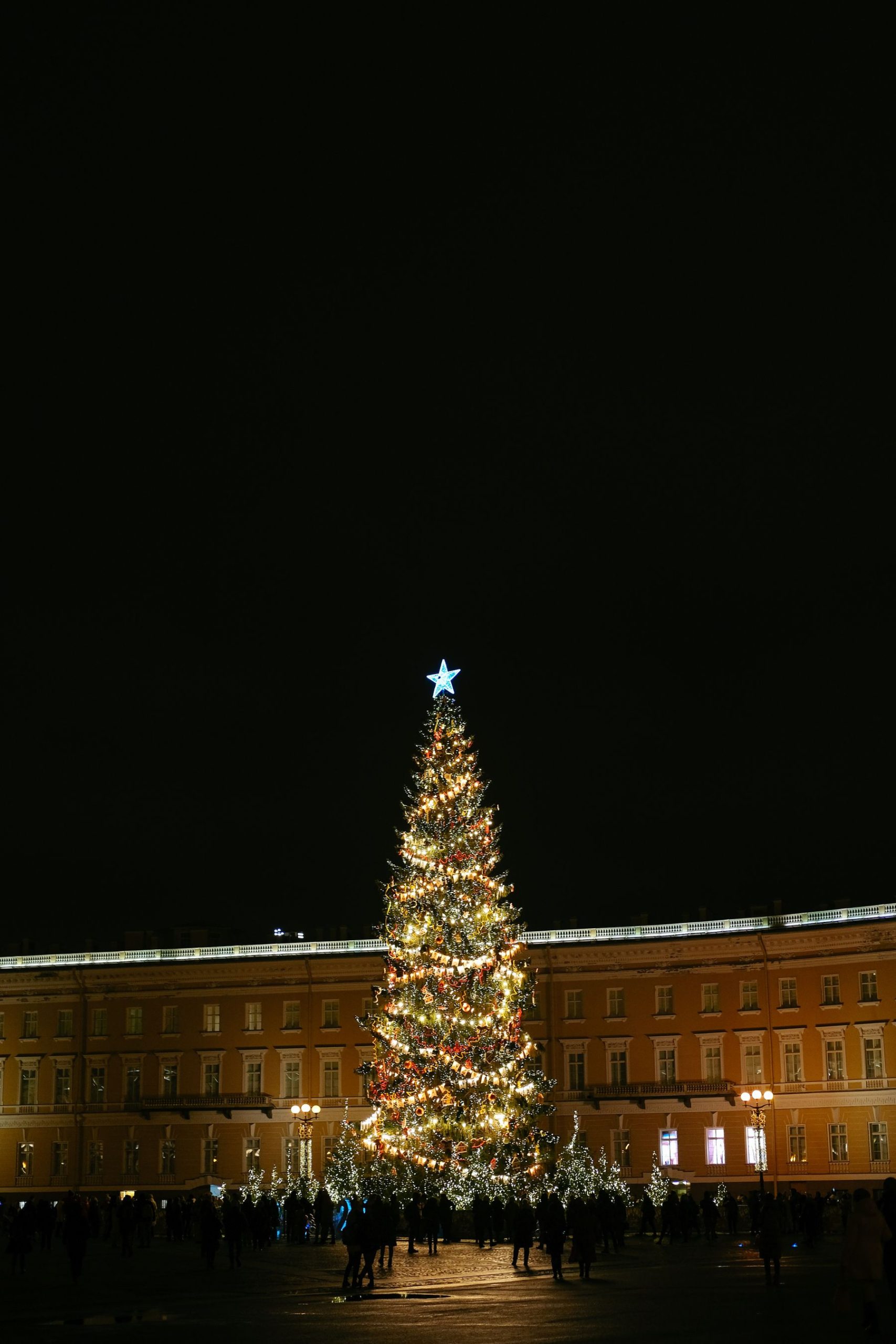 Tall Christmas tree glowing against a dark sky above a lit square