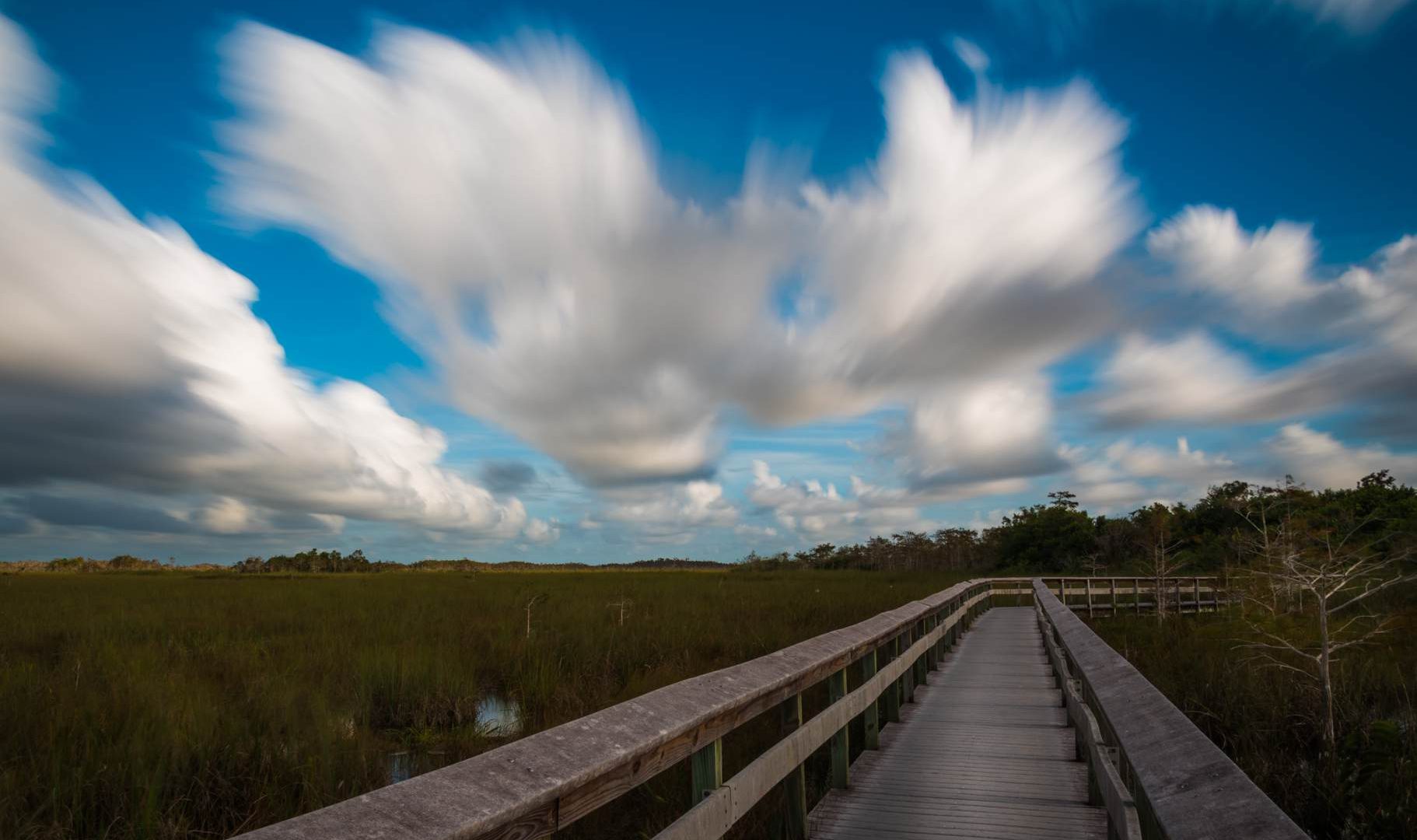 Everglades Photography Spots: Six Subjects for Wildlife, Water and Changing Light