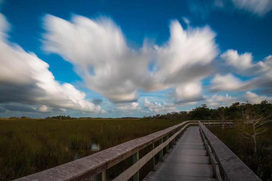 Everglades Photography Spots: Six Subjects for Wildlife, Water and Changing Light