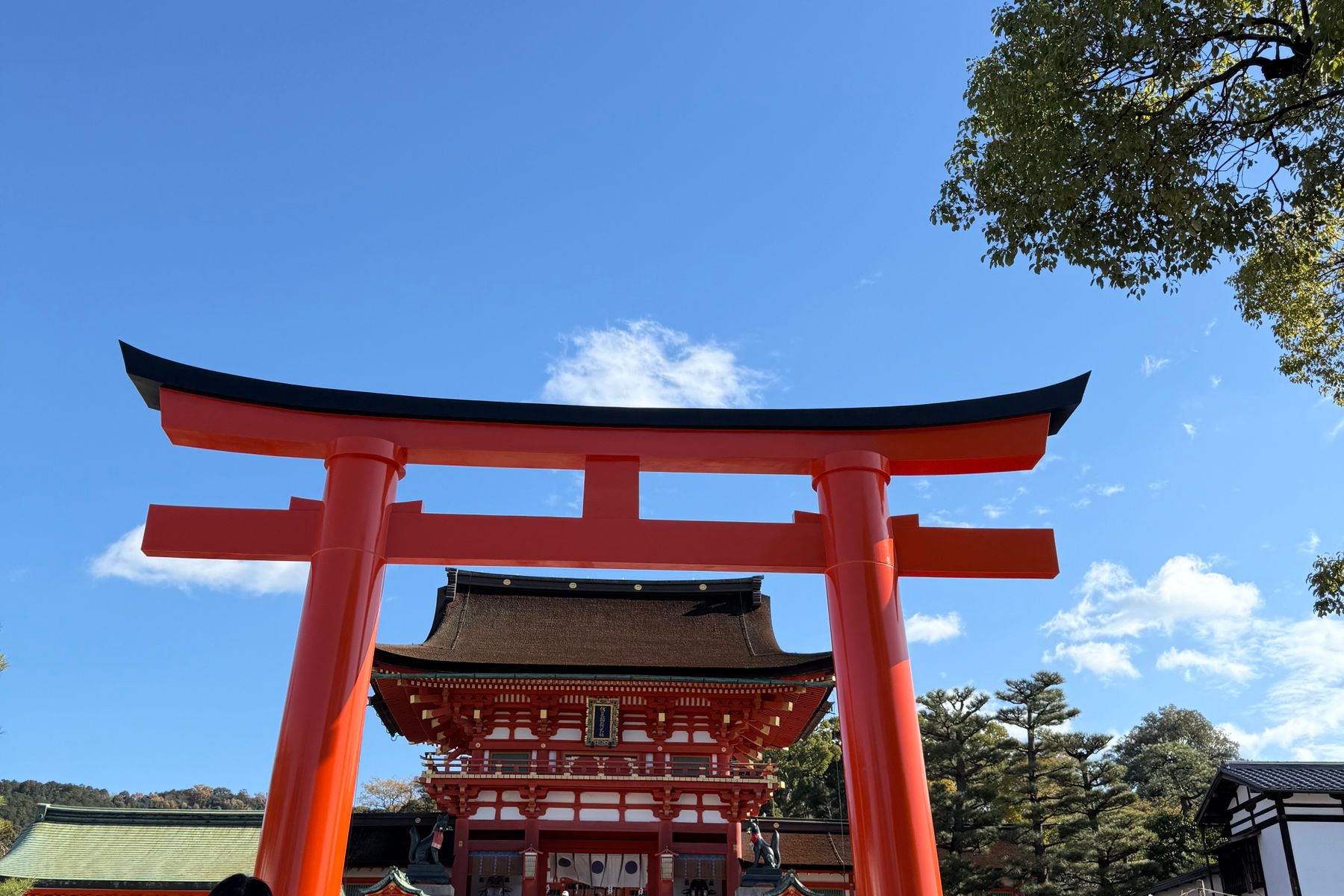 The great torii gate and main hall at Fushimi Inari Taisha in Kyoto under a blue sky