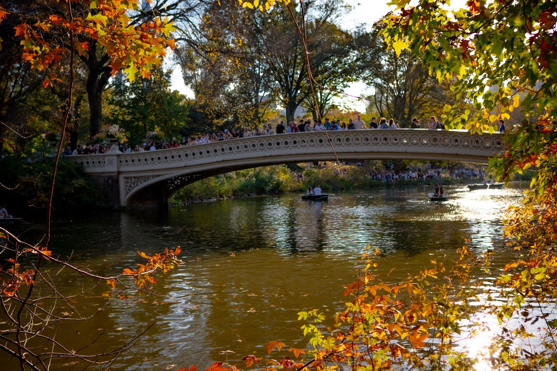 Autumn leaves in orange and gold frame Bow Bridge over the lake in Central Park, with people standing on the bridge and boats on the water
