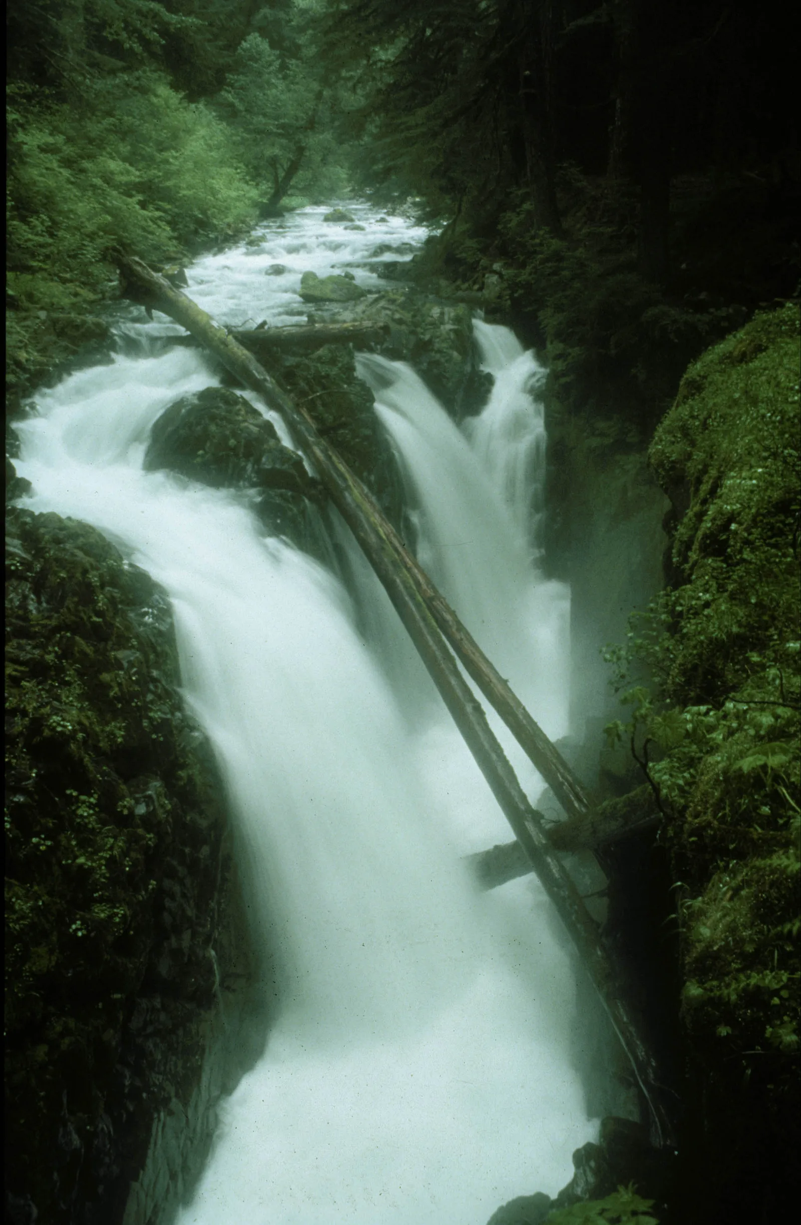 Sol Duc Falls pouring through its mossy gorge