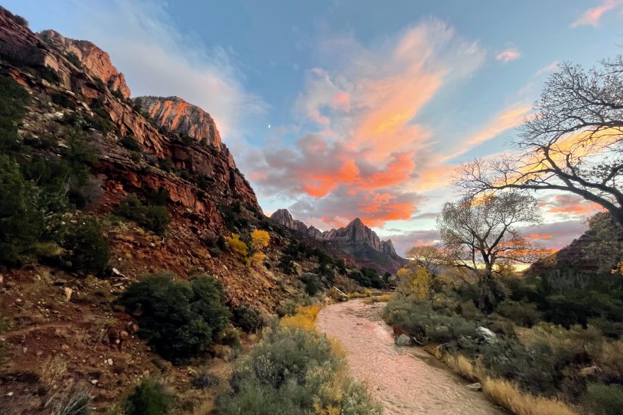 Best Photography Spots in Zion National Park