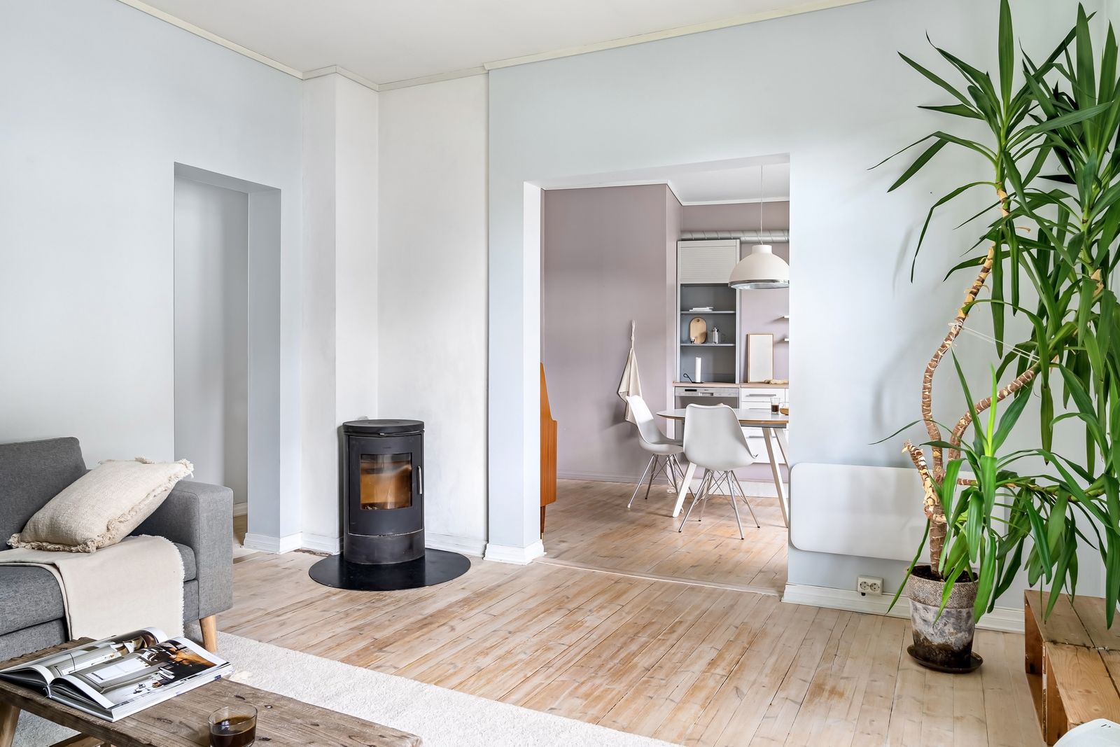 Modern apartment interior with black fireplace shot for a real estate listing