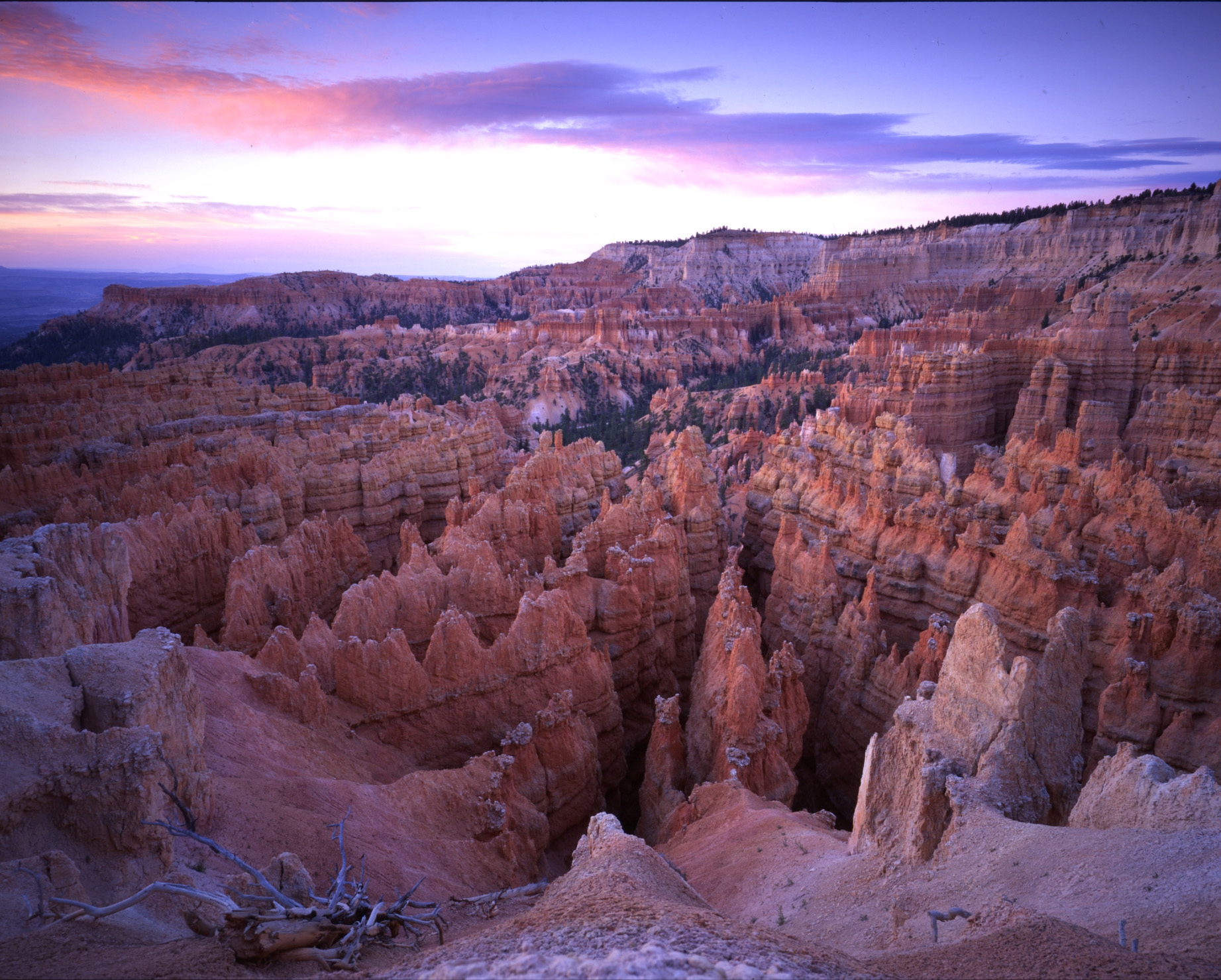 Looking down from Sunset Point into the Wall Street switchbacks on the Navajo Loop