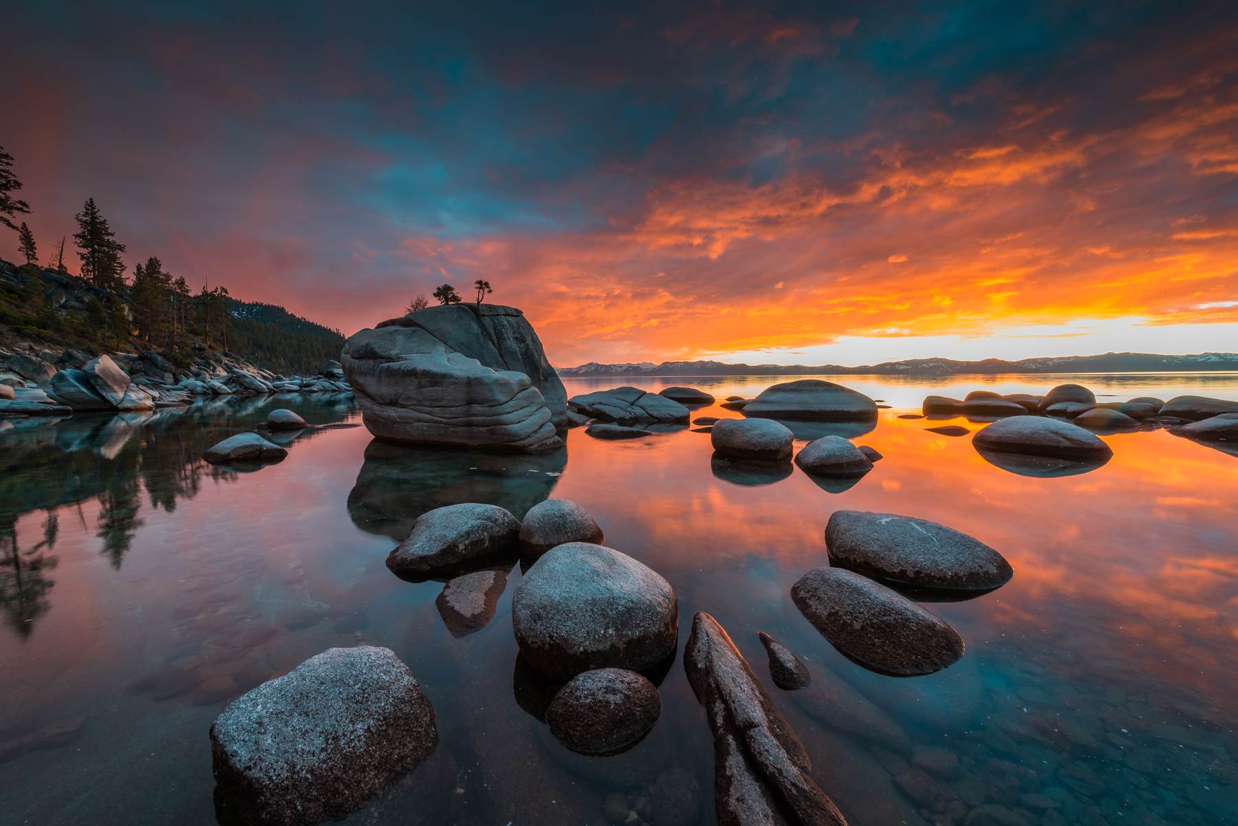 Bonsai Rock
