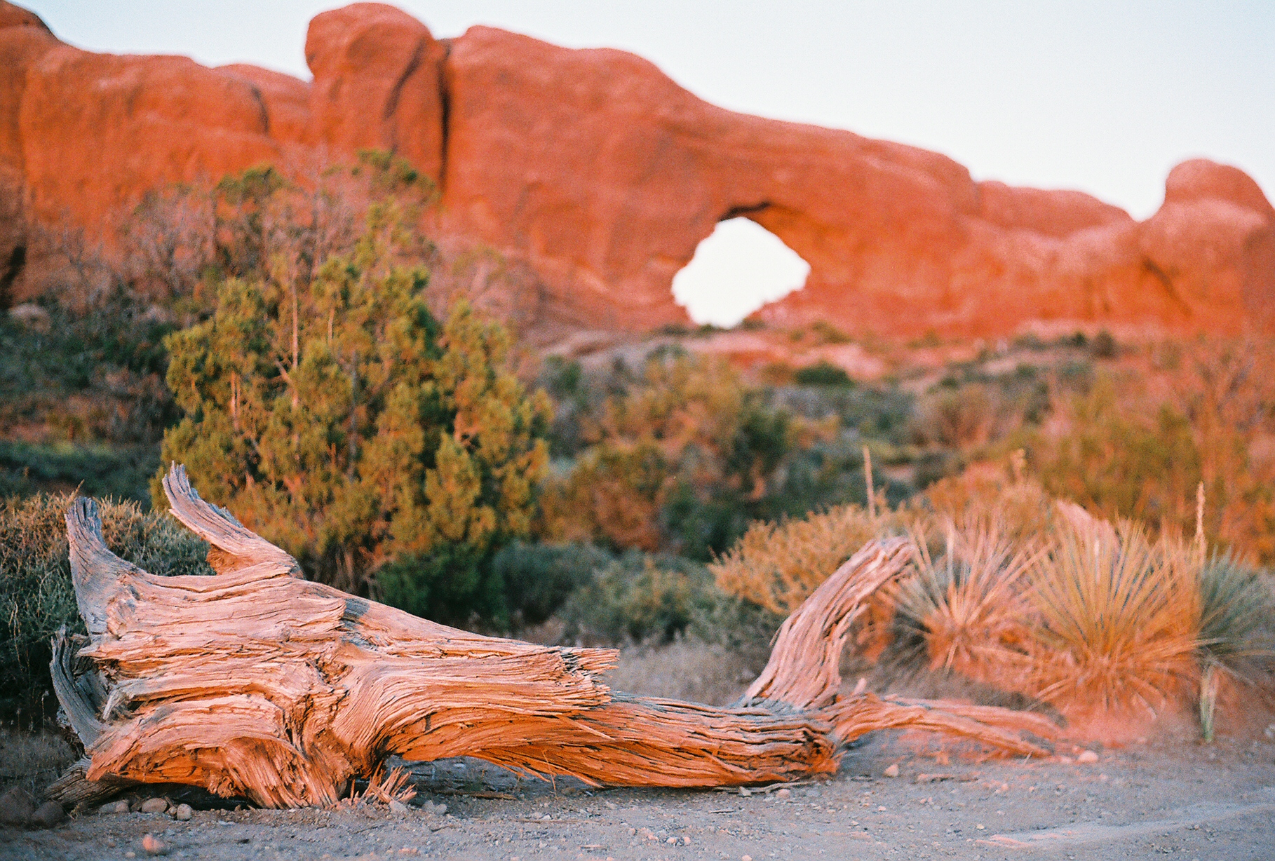 North Window at dusk with foreground wood in focus in Arches National Park