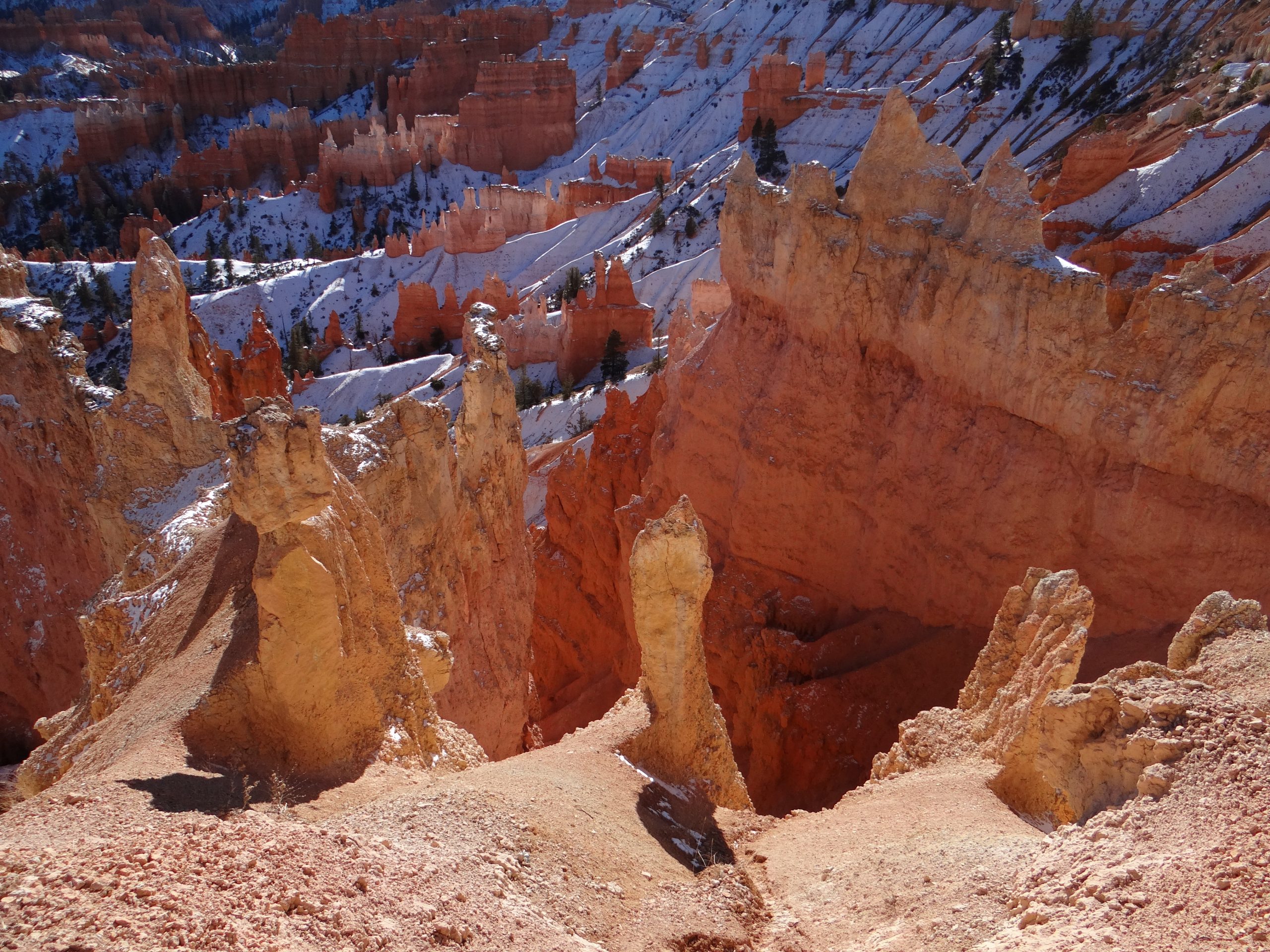 Hoodoos surrounding the Queen's Garden trail below Sunrise Point