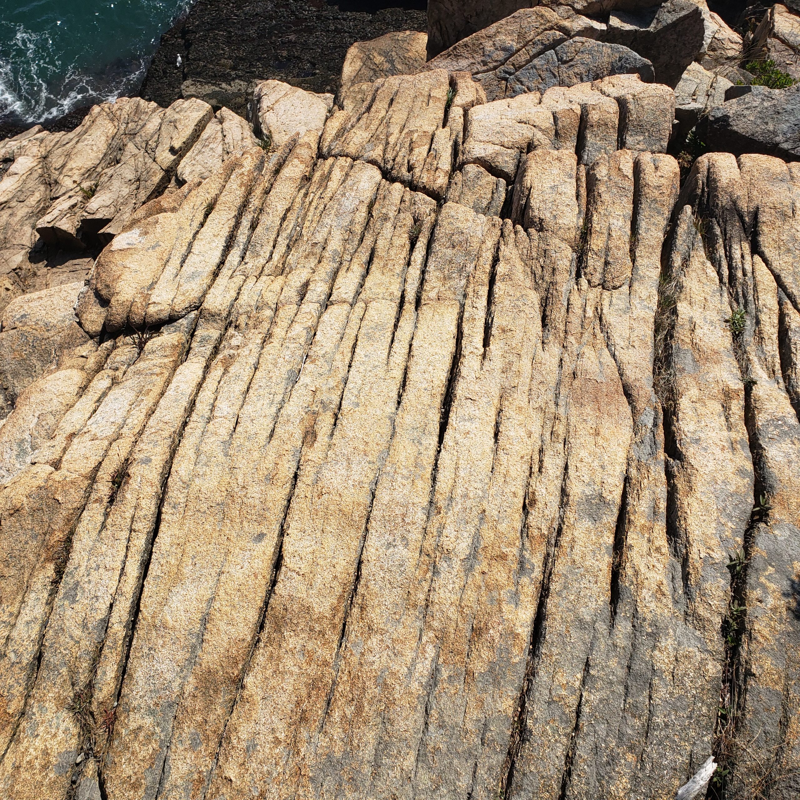 Glacial striations in granite at Otter Cliffs in Acadia National Park