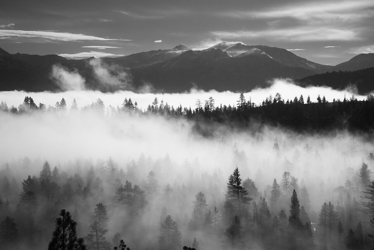 Black and white misty mountains rising above a layer of fog