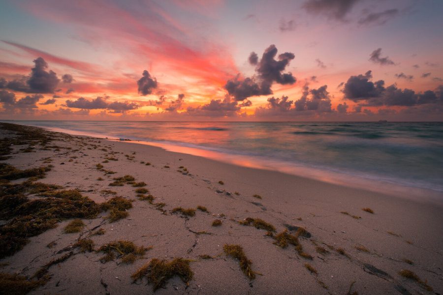 Pink sunrise clouds over a sandy beach and incoming surf