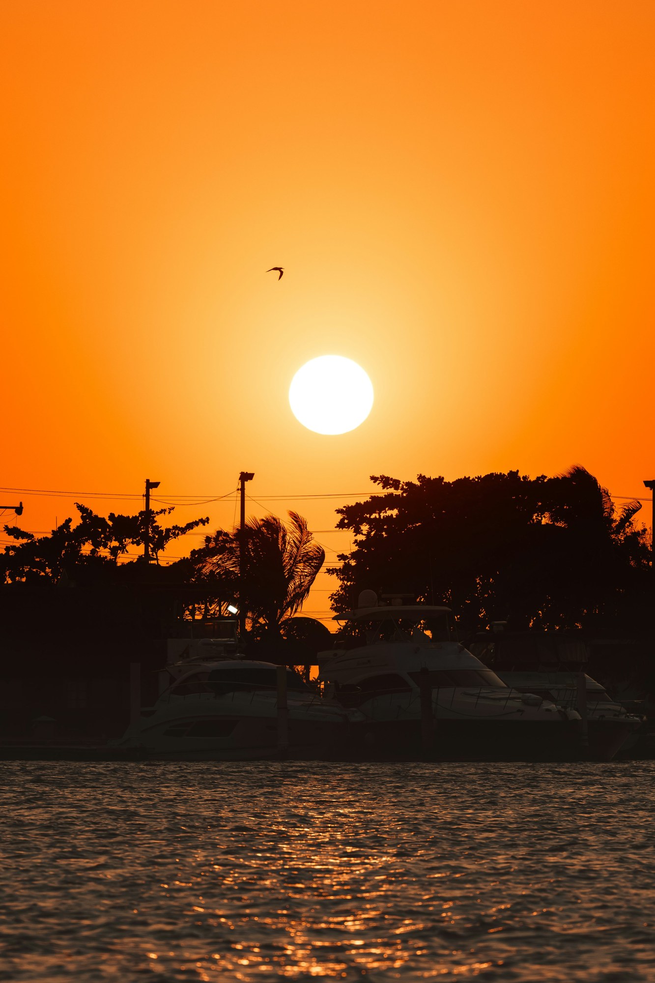 Sunset above palms, boats and water in Cartagena