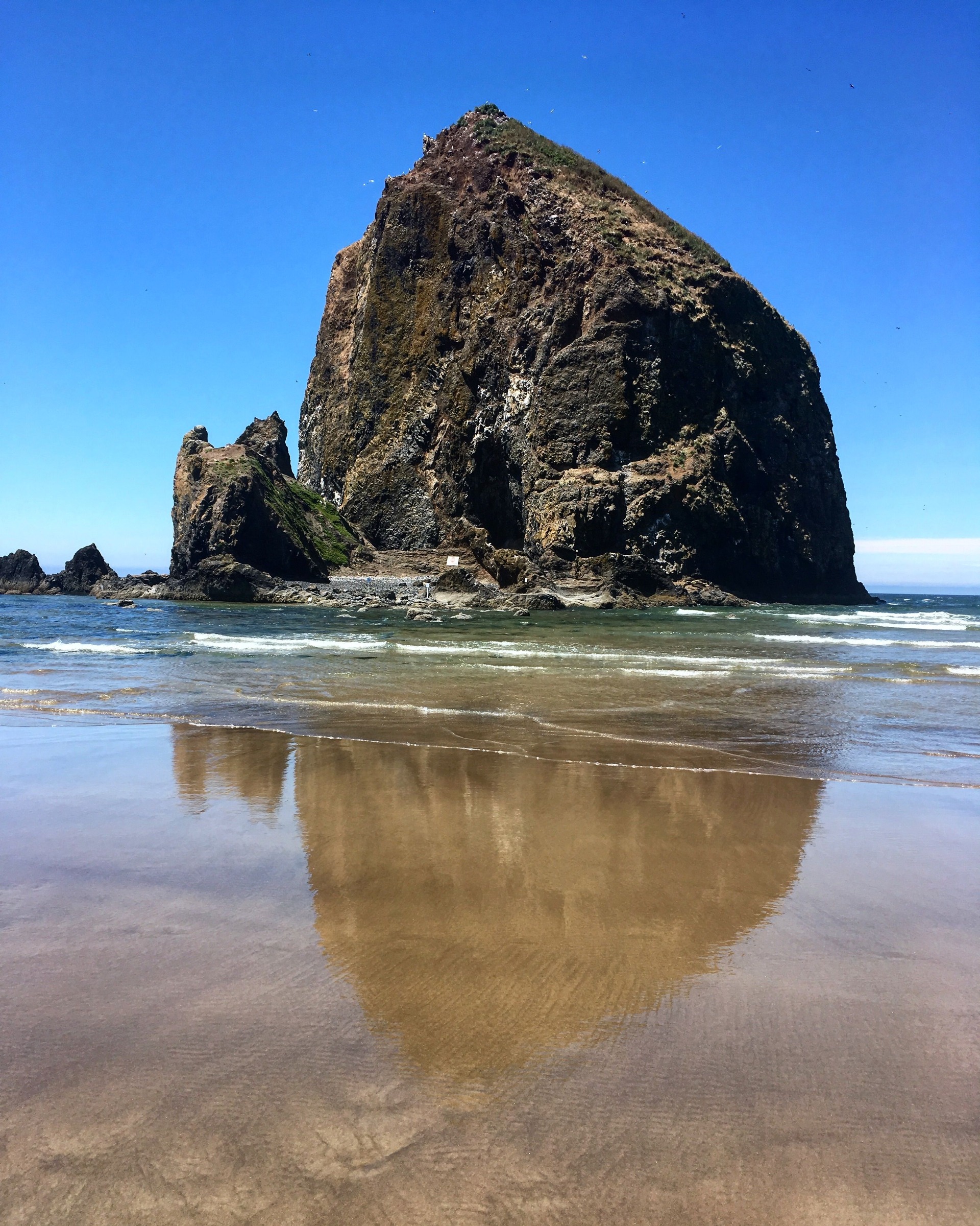 Vertical Haystack Rock view with wet-sand reflection in daylight