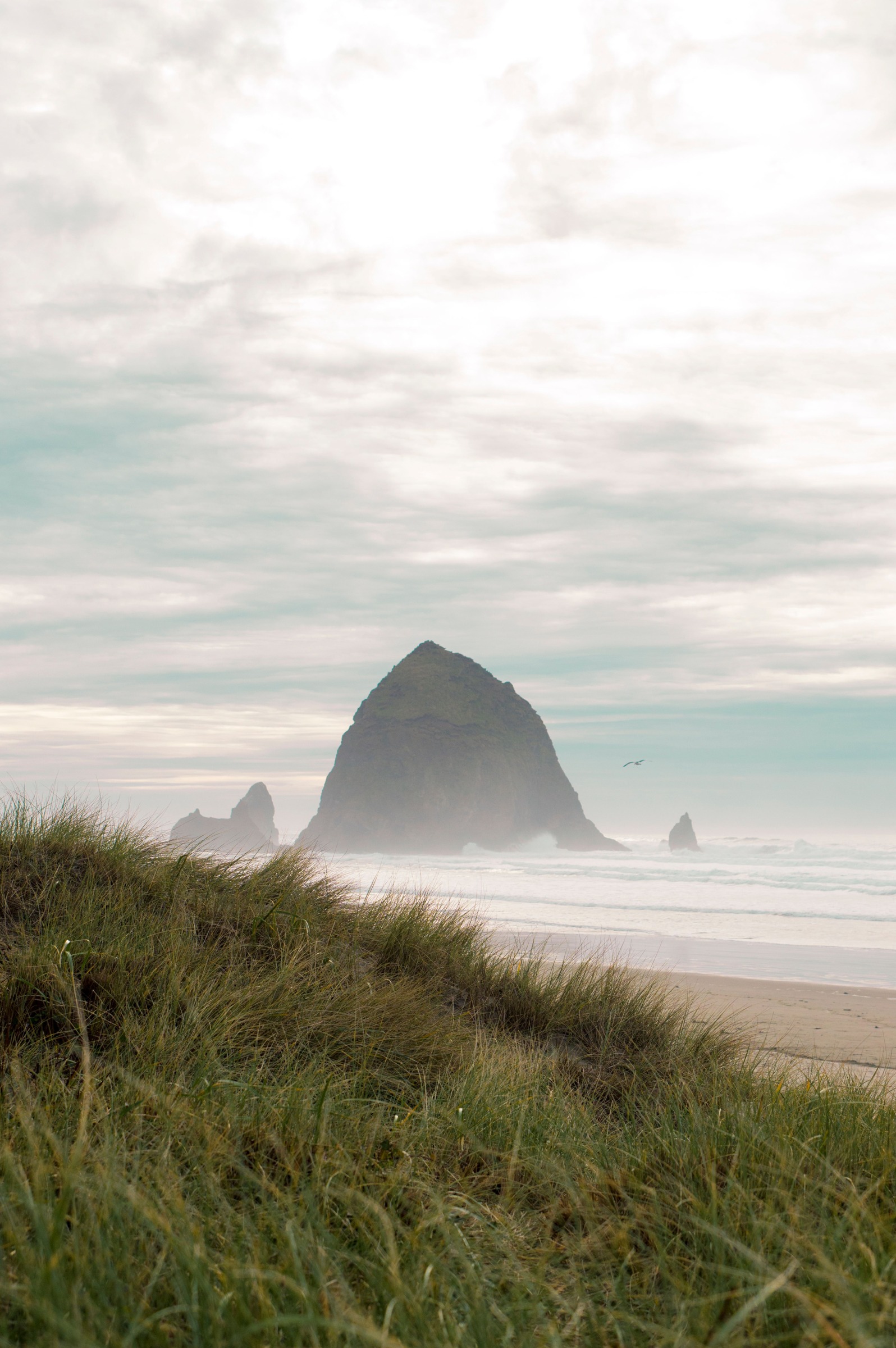 Haystack Rock beyond grassy foreground and misty surf