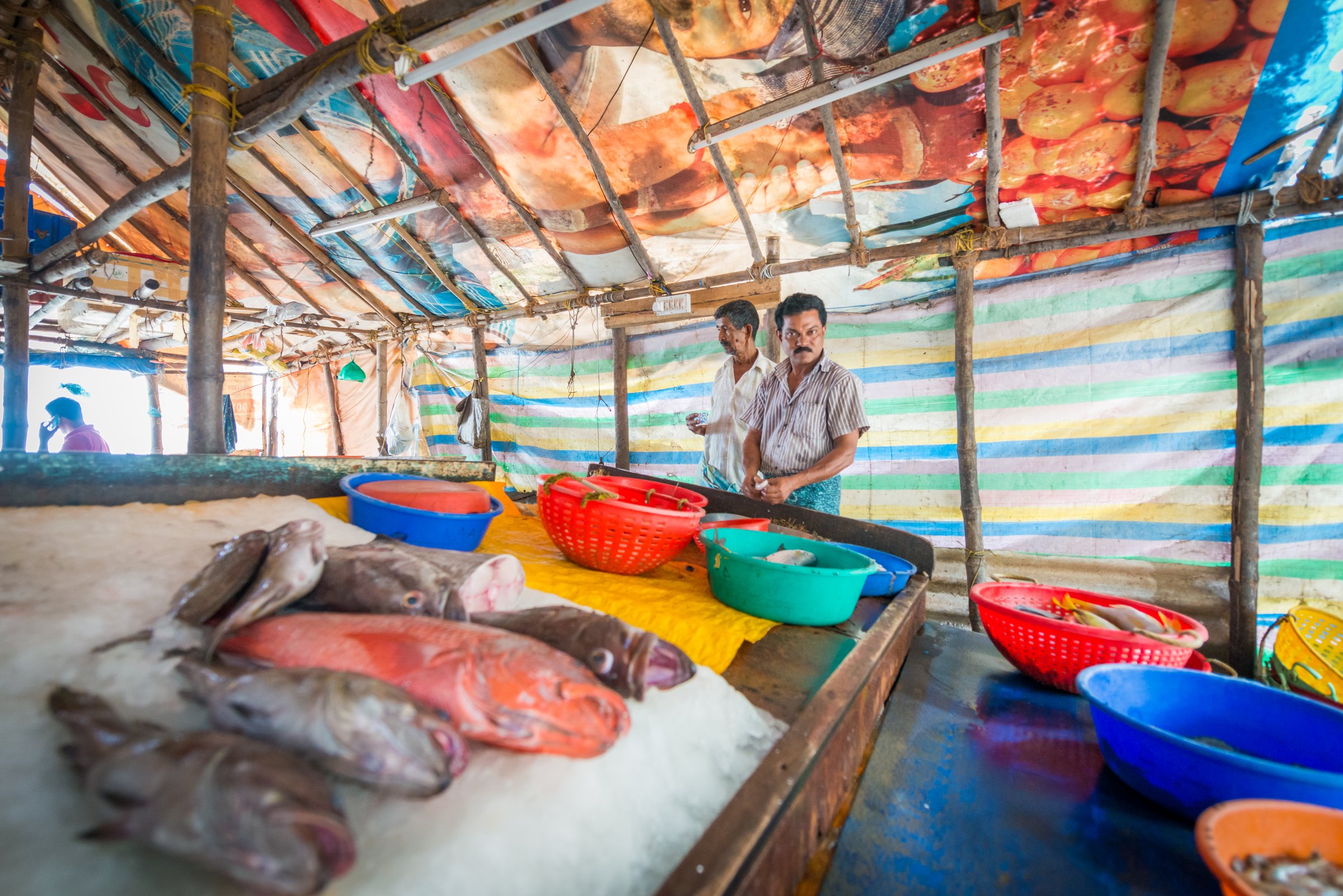 A fish market in India with red, blue and yellow baskets, a natural study in hue and saturation