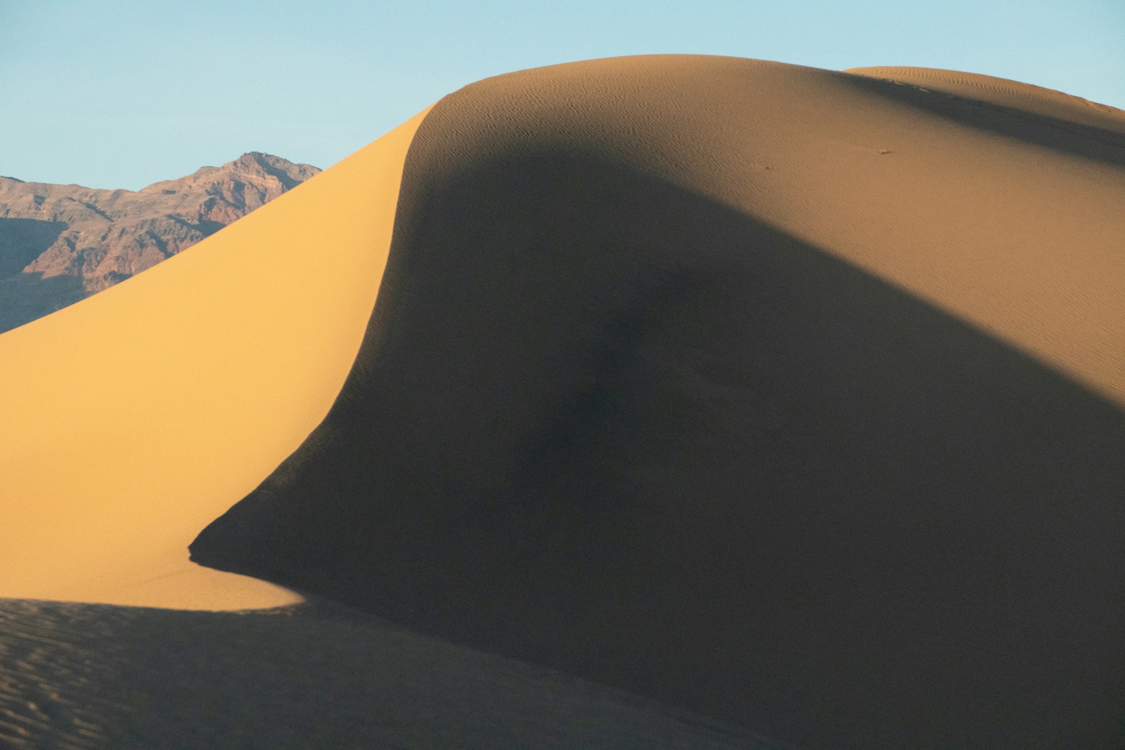 Warm side-light on a dune crest at Mesquite Flat Sand Dunes.