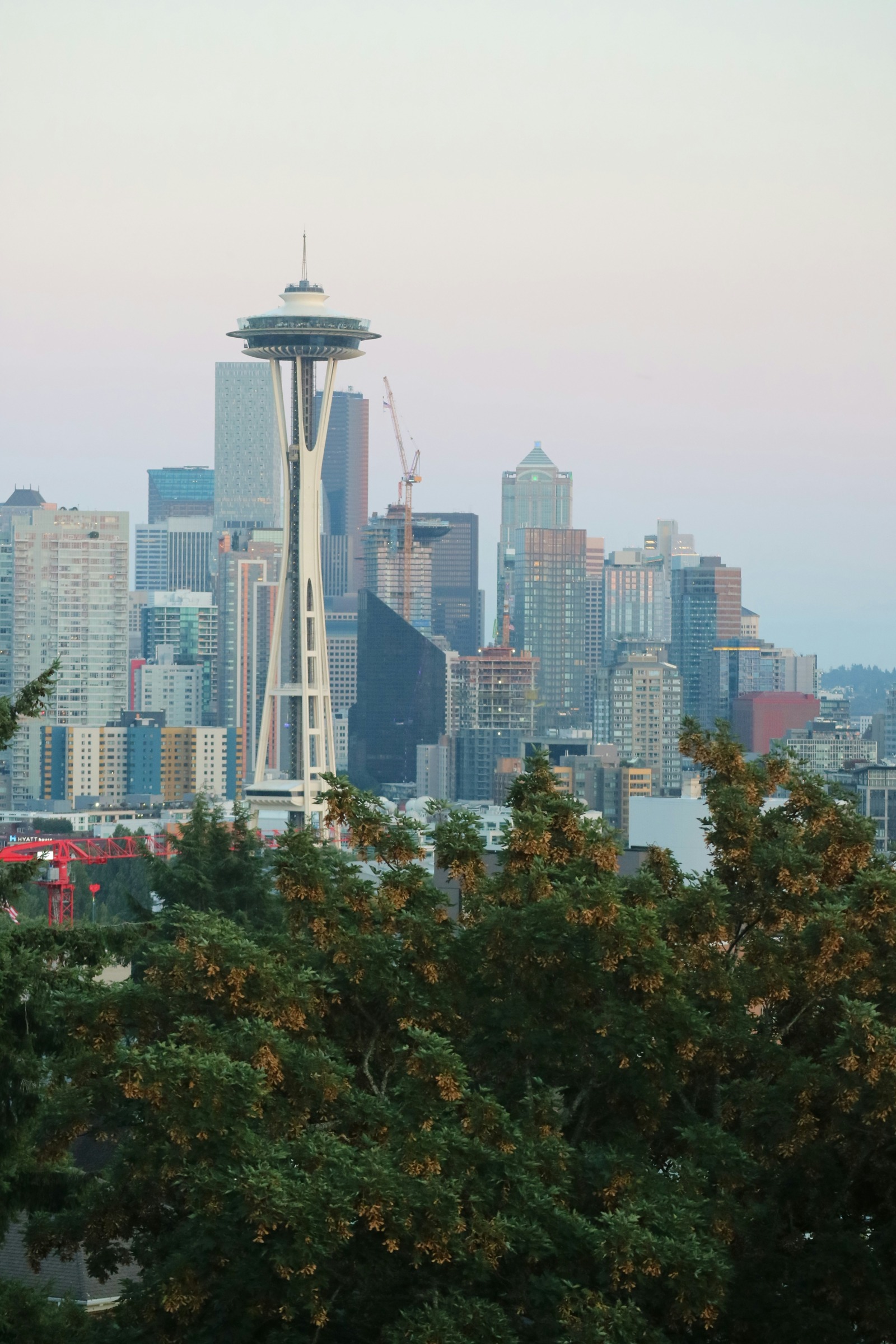 Space Needle and Seattle towers in a vertical daylight frame