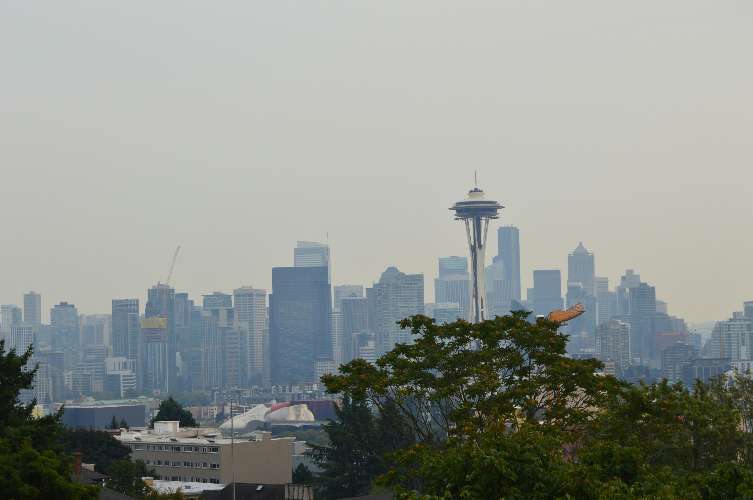 Hazy Seattle skyline with Space Needle and foreground trees