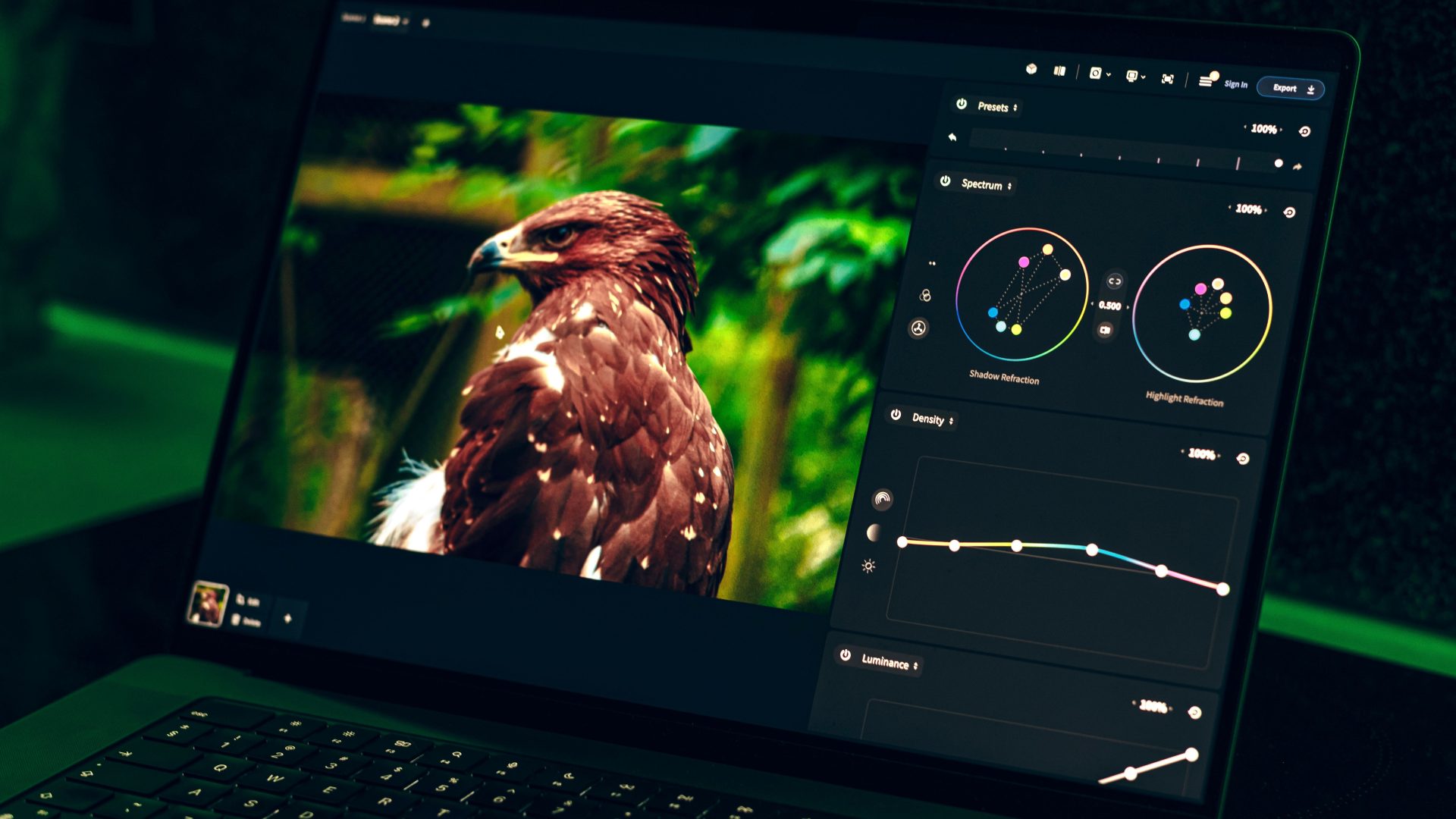 A laptop screen showing an eagle photo being edited at night