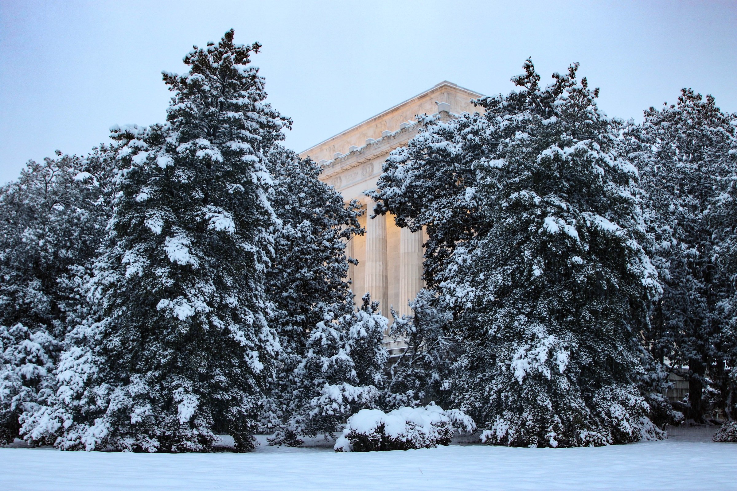 Lincoln Memorial behind snow-covered trees