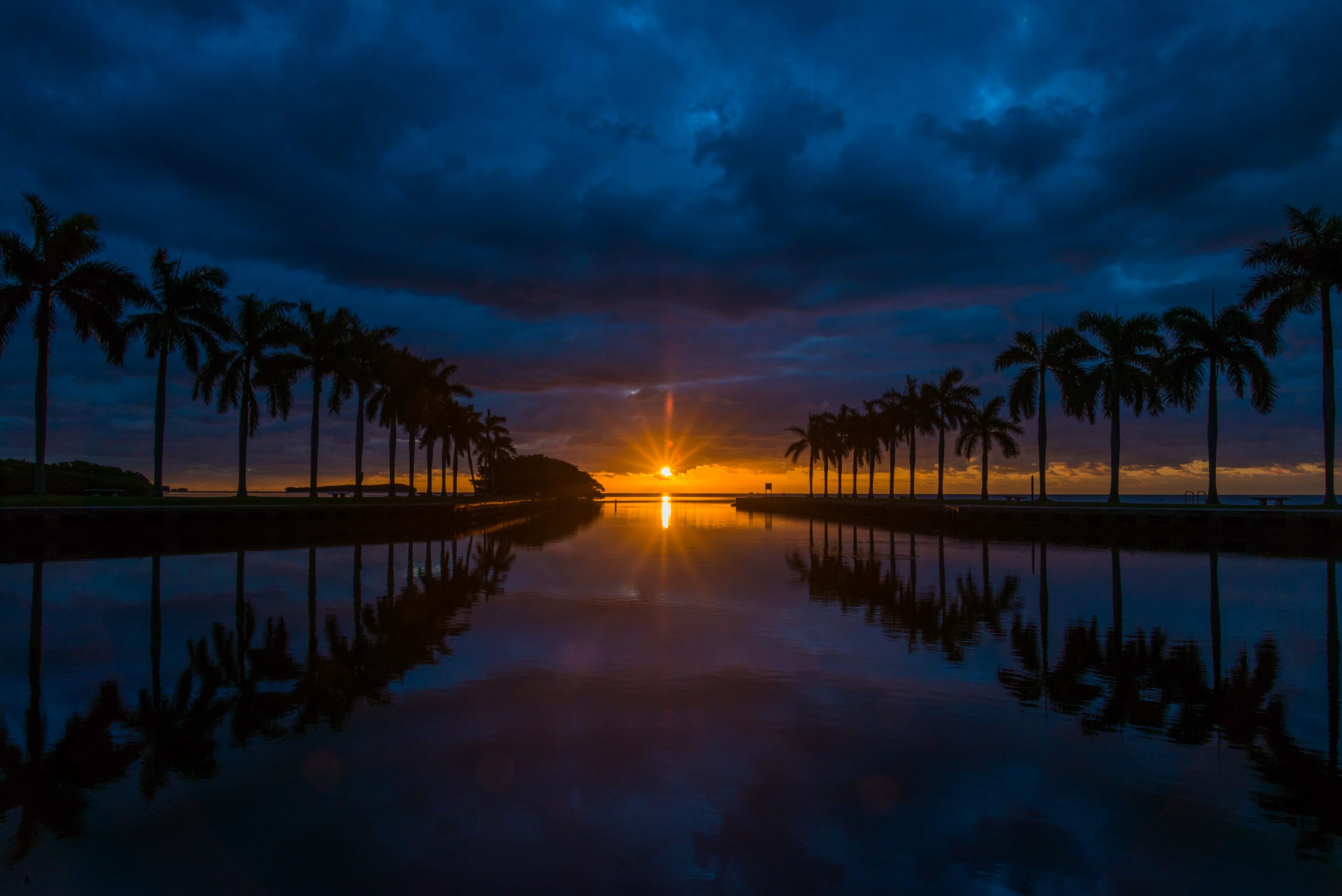 Palm trees reflected in calm water at sunrise with soft pink and gold light in Miami