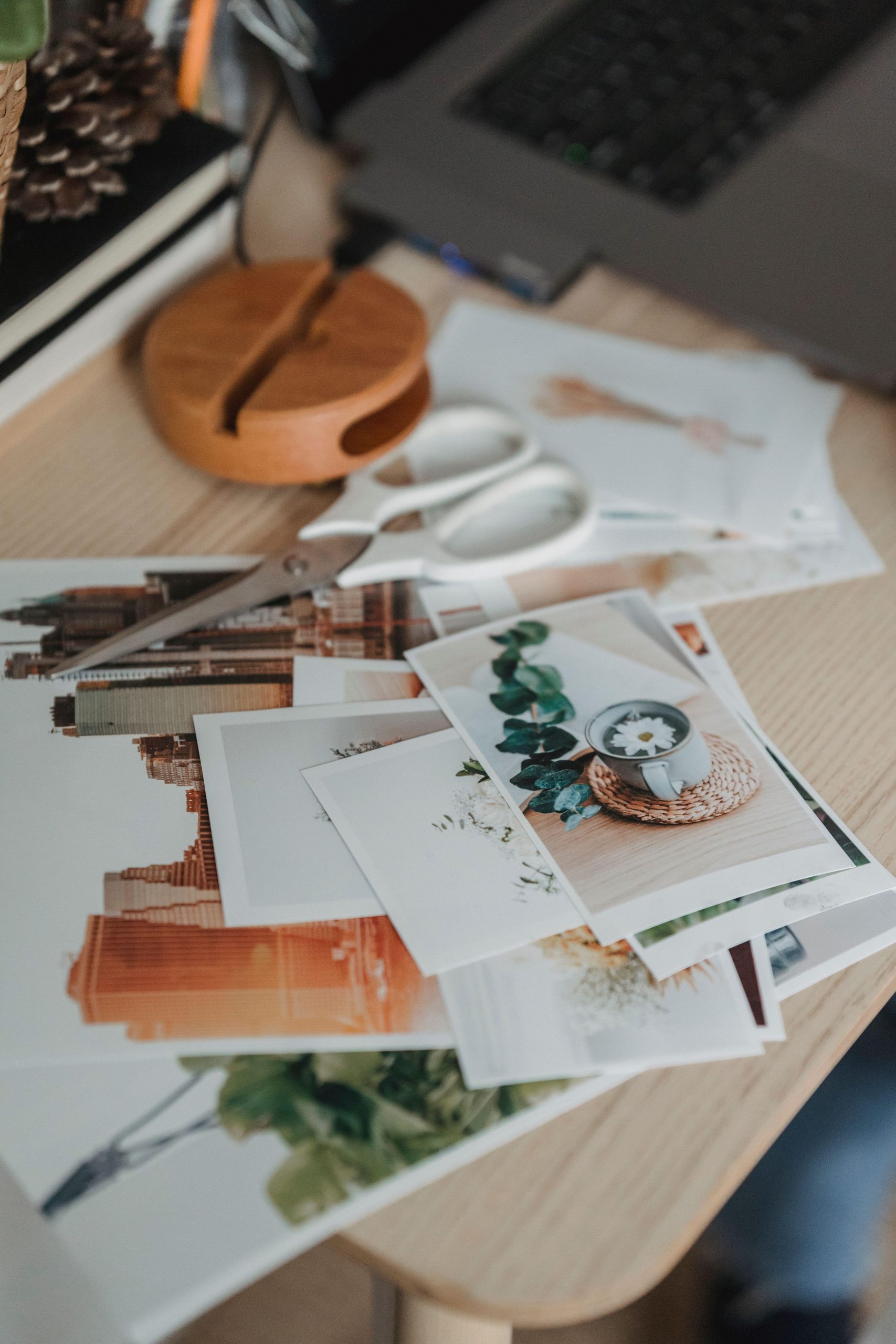 Printed botanical and city photographs arranged on a wooden desk. (Stock photo, illustrative.)