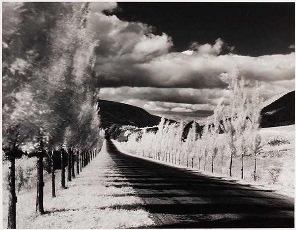 A fine art landscape photographer in the process of developing their unique personal style and vision through practice and reflection.