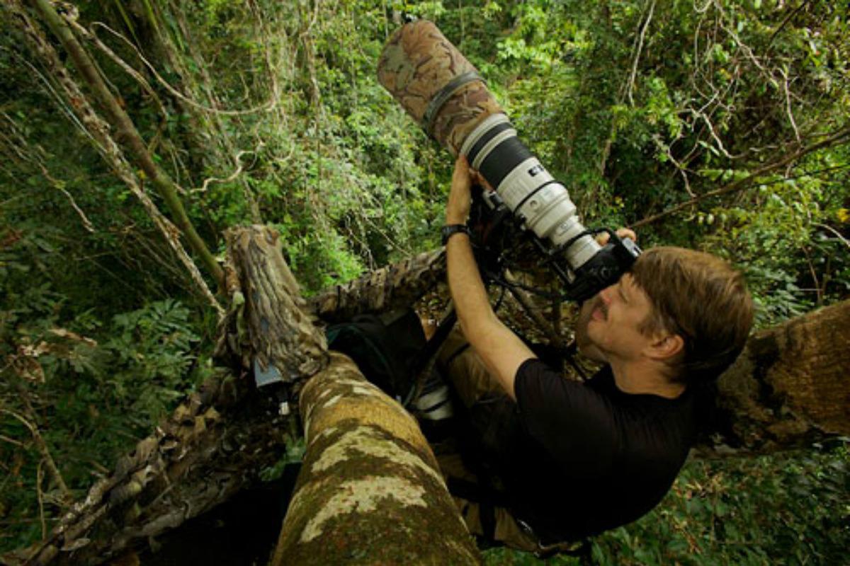 Best Wildlife Photography Cameras