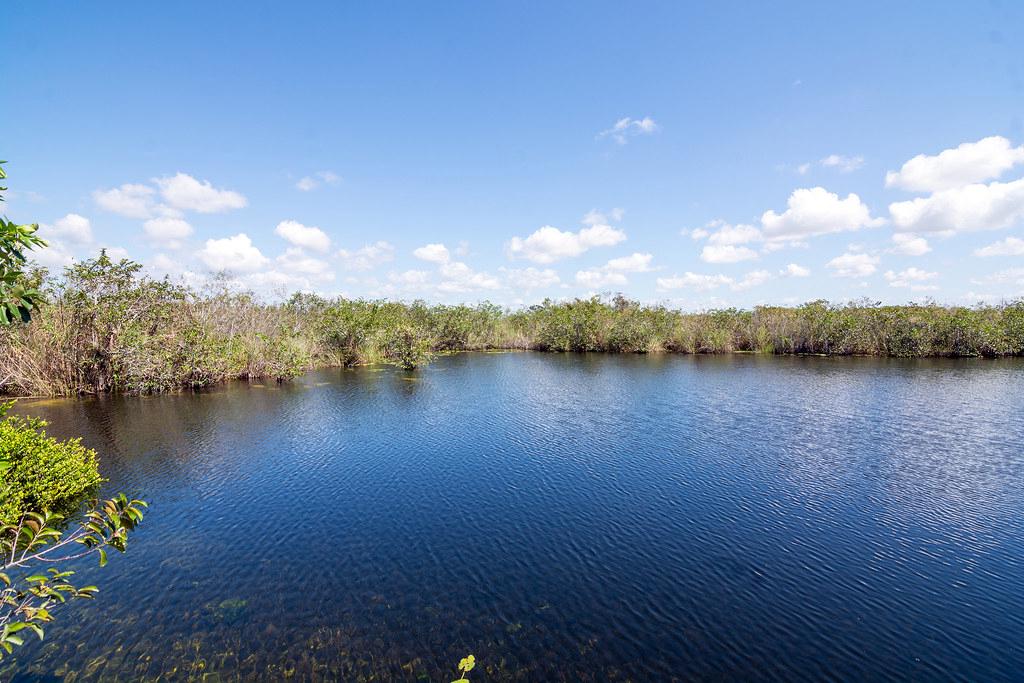 Miami Wildlife Photography Spots